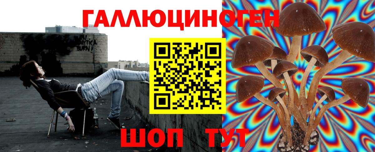 Галлюциногенные грибы MAGIC MUSHROOMS Бахчисарай