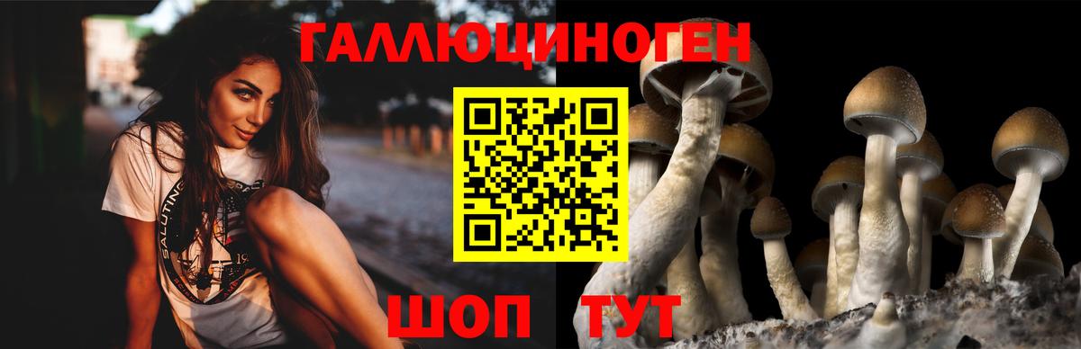 Бахчисарай  Галлюциногенные грибы Psilocybine cubensis  Вход с VPN  Галлюциногенные грибы Magic Shrooms 